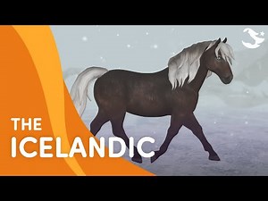 Meet the Icelandic Horse 🐎❄️ | Star Stable Breeds