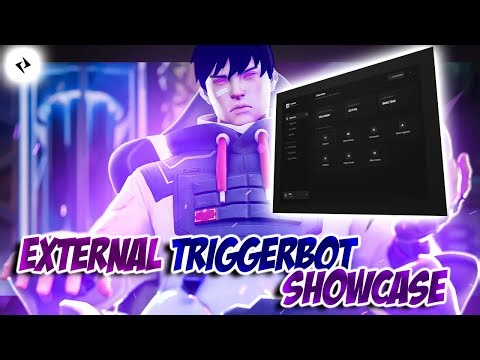 I Used Valorant AI TriggerBot for 24 Hours... Radiant in One Day? (INSANE)