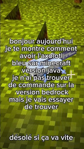 comment avoir l'axolotl bleu sur minecraft java