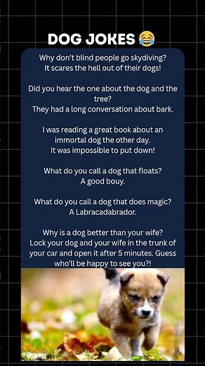6 Dog Jokes That Will Make You Howl With Laughter 😂🐶