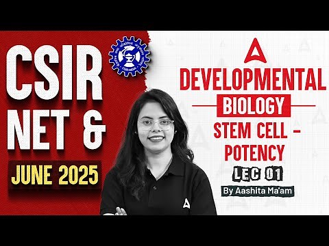 CSIR NET JUNE 2025 | Developmental Biology - Stem Cell Potency | Complete Concept by Aashita Ma'am