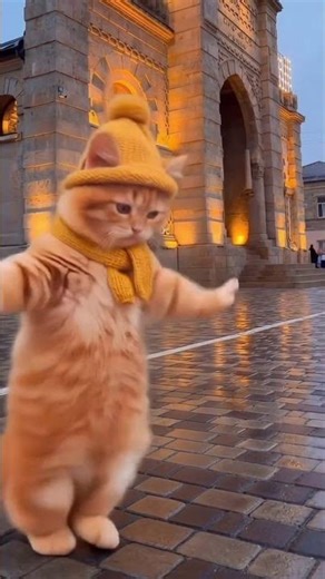 #cat #comic #funny #dance #music #blogger #compilation #tiktok #animals #baby #youtube #comedyshorts