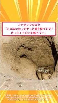 【2ch面白いスレ】アナホリフクロウ「この年になってやっと家を持てたぞ！さっそくう〇こを飾ろう！」#2ch#2ch面白いスレ#2ちゃんねる