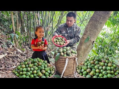 Harvesting forest fruits goes to the market sell - Cooking