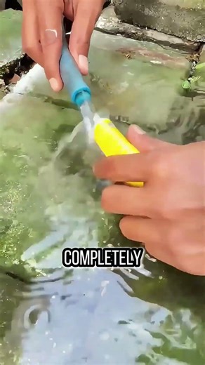 Toothpaste made water pump