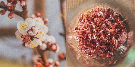 5 Ways to Preserve and Eat Blossom