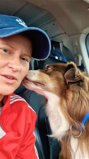 Ossi, Aussie and Trabi