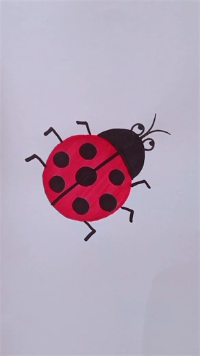 Learn How to Draw a Ladybird Step by Step