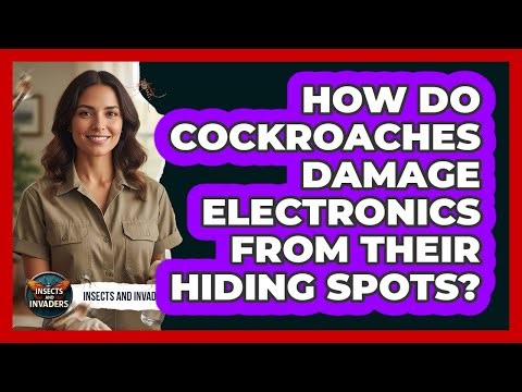 How Do Cockroaches Damage Electronics From Their Hiding Spots? - Insects and Invaders
