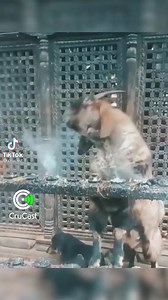 758K views · 3.1K reactions | When you tell your mates that you're "smoking" this weekend. | BBQAroma | Facebook