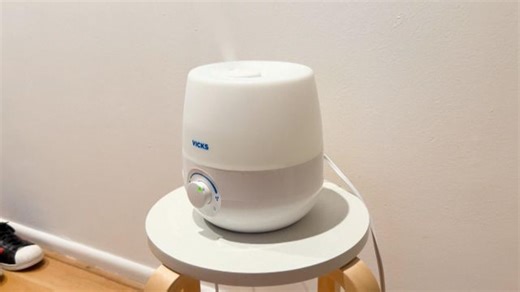 Best ways to keep your humidifier clean and free from bacteria