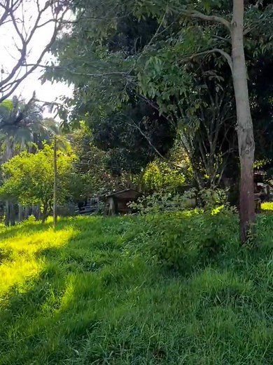 70K views · 1.8K reactions | CAPA DE REVISTA Parte 5 | Thiago Vinícius | Facebook