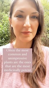 8.2K reactions · 1.1K shares | Ground Ivy! Glechoma hederacea. An...