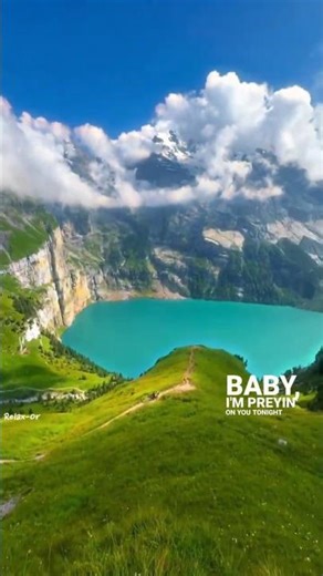 ANIMALS💕❤️#lyrics #shortsviral #viral #music #shortvideos #song #feelthemusic #ambience #viralvideos