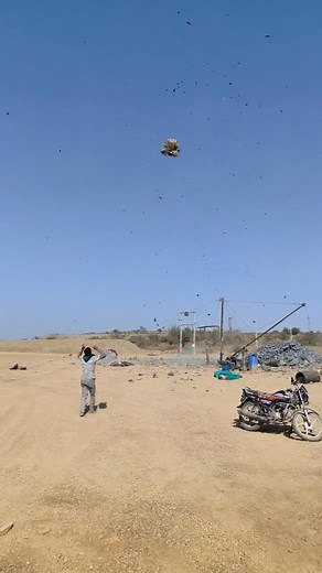 1.4M views · 14K reactions | Is Life REALLY Precious?#viralvideo #shorts #trending #life #reels | vir vachcharaj | Facebook