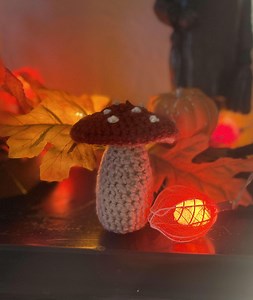 Crochet Toadstool