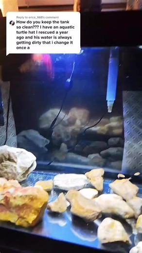 Hanging Filter Reply for Red-Eared Slider Turtle