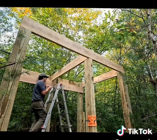 Building a Log Cabin for Camping and Bushcraft