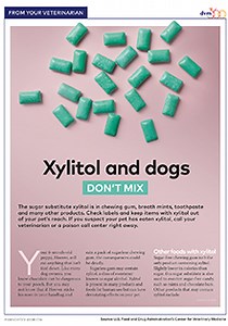 Client handout: Xylitol and dogs don't mix | dvm360