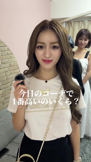 高級バッグとティーシャツの価格比較