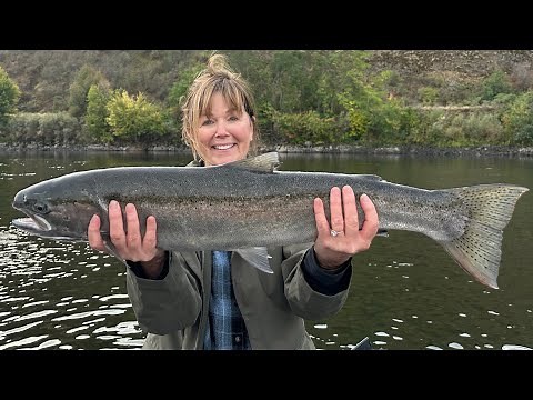 Clearwater River Weekly Steelhead Report 10/1/25: It’s Steelhead time!!