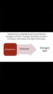 Octapren DHT Brake #prostatehealth #testosterone