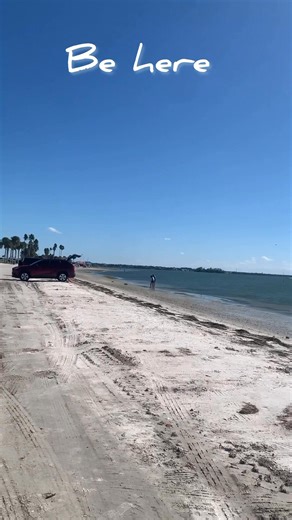 2.9K views · 118 reactions | #dunedincauseway #whenInDunedin #beachlife #dunedinflorida | Dunedin - Honeymoon Island Beach Life & More | Facebook