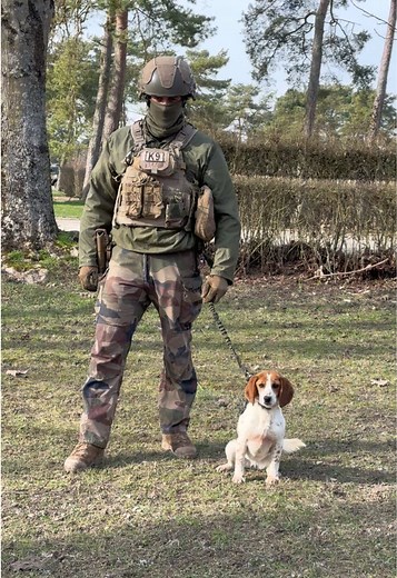 On vous a habitués à des gabarits plus impressionnants…voici Dora, “l'Armageddon de la race canine” 🐶 Merci pour l’audio, @Alexandre Astier 😏
