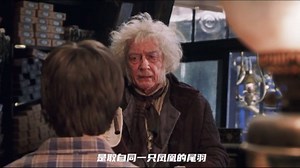 哈利波特与死亡圣器(上）（哈利系列之七）