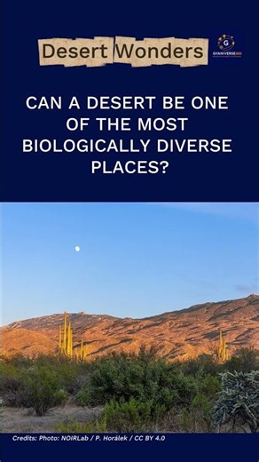 SONORAN 🏜️ | EARTH'S EXTREME DESERT LANDSCAPES | DESERT WONDERS #8