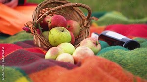 An autumn picnic is an opportunity to enjoy organic dishes in a natural environment. Delicious and fresh fruits from agriculture make the picnic even more appealing.