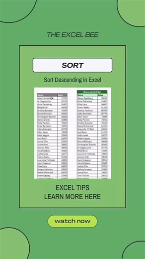 Sort Data in SECONDS with the SORT Function!