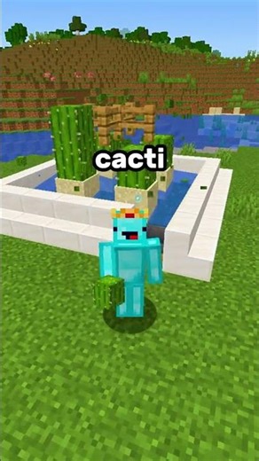 easy cactus farm Minecraft