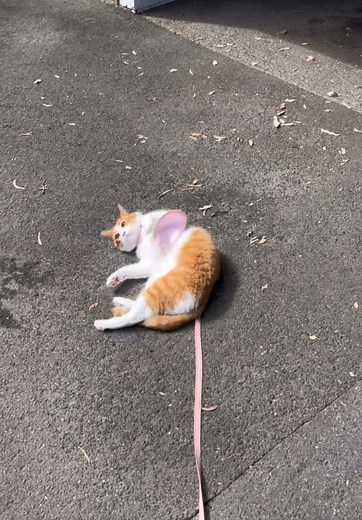 F yeah 😎 concrete 😎