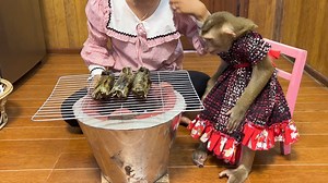 Judee Xtrmely Curious With The Banan GriIIed Cake | The Judy Family