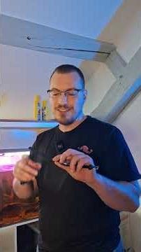 La Casio F91W peut-elle survivre sous l’eau ?