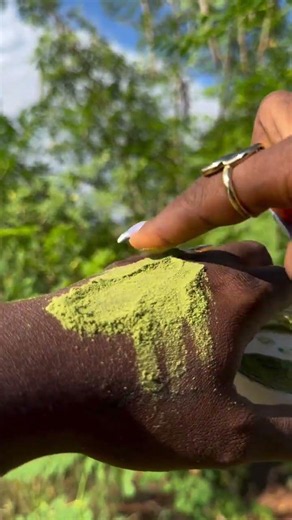Purest Moringa for hair growth 🌿 #haircare #moringa #hairgrowth