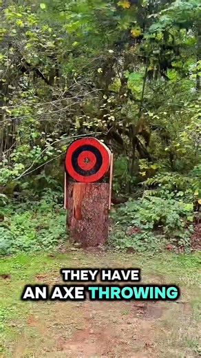 Ax throwing target