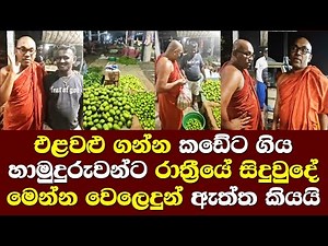 එලවළු ගන්න කඩේට ගිය හාමුදුරුවන්ට රාත්‍රීයේ සිදුවුදේ මෙන්න වෙලෙදුන් සංවේදිව හෙලිකරයි Wijayaseeha Himi