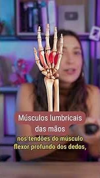 Muscles with curious names – Lumbricals 🪱