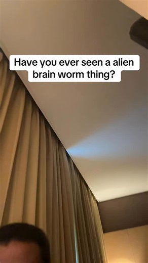 Zachary on Instagram: "The hag moth caterpillar, also known as the monkey slug caterpillar is absolutely terrifying"