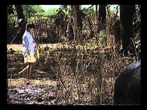 Special feature on Dr. B. R. Ambedkar - Part - 02