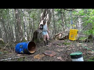 Baiting Black Bear In Northern Maine