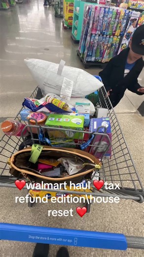 Realistic Walmart Haul: Tax Refund Edition
