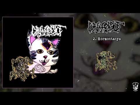 Din-Addict / Noisehole Project - split CD FULL ALBUM (2025 - Grindcore / Noisegrind / Punk)