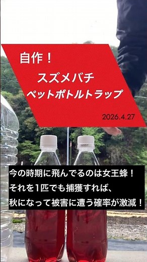【今しかできない】春のスズメバチ対策！ペットボトルトラップで女王蜂を狙え #女王蜂 #蜂の巣対策 #shorts