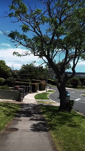 City vs. Countryside: Key Differences Explained