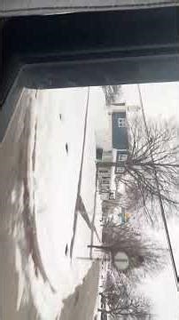 The School Bus Ride Home from Thanksgiving Break