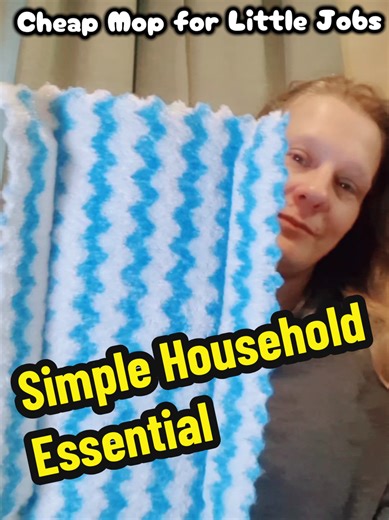 Essential Mini Cleaning Mop for Quick Touch-Ups