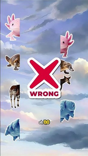 Picture Match Challenge 227 Animal #guessthepicture #kartuntempel